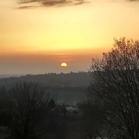 Rosenhof Broggingen הרבולצהיים