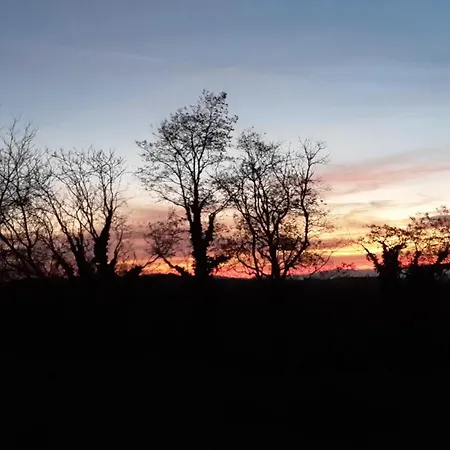 Rosenhof Broggingen *