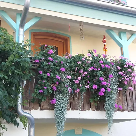 Rosenhof Broggingen Lägenhet Herbolzheim