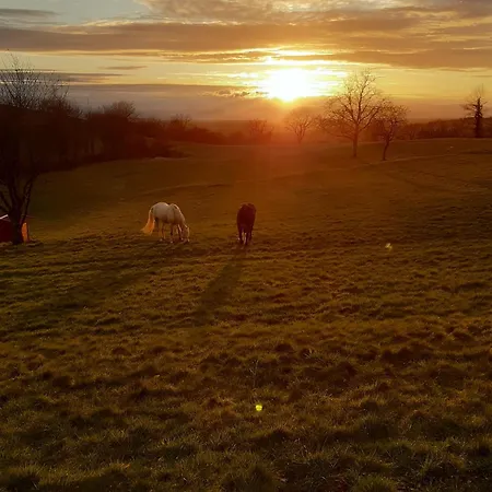 Rosenhof Broggingen דירה
