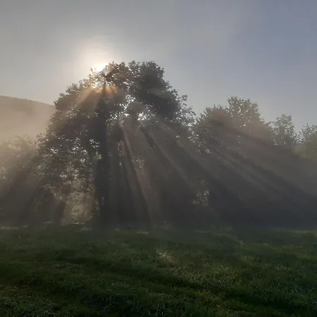Rosenhof Broggingen דירה הרבולצהיים