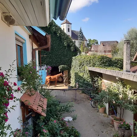 דירה Rosenhof Broggingen