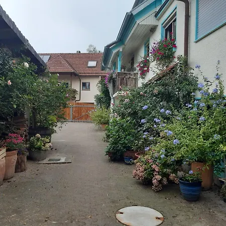 Apartment Rosenhof Broggingen